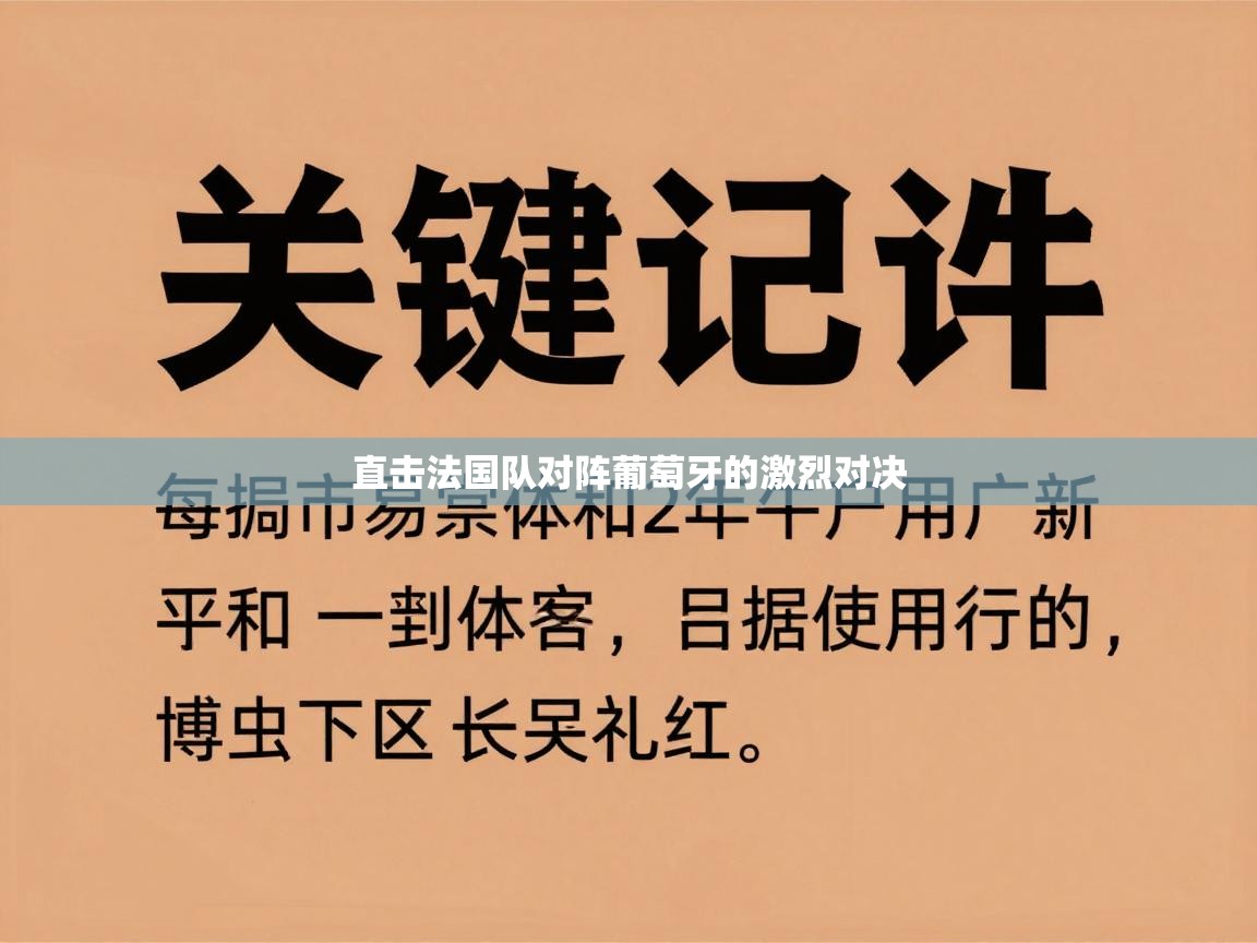 直击法国队对阵葡萄牙的激烈对决  第1张