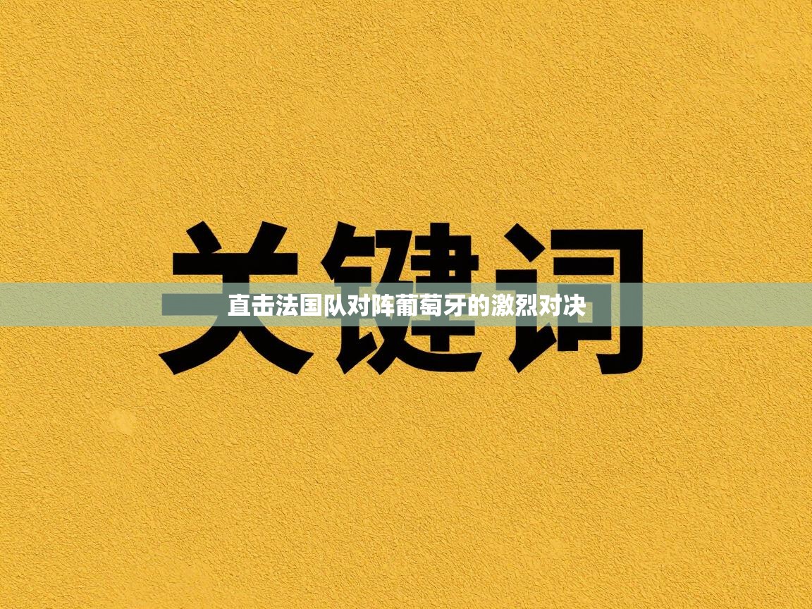 直击法国队对阵葡萄牙的激烈对决  第2张