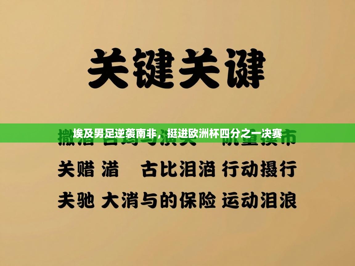 埃及男足逆袭南非,挺进欧洲杯四分之一决赛 第2张